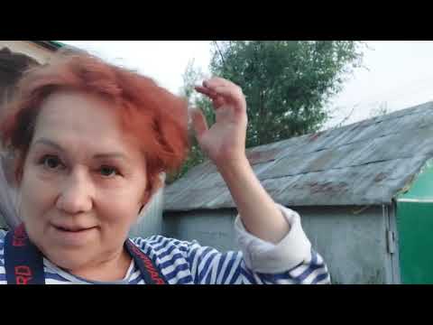 Видео: Vlog дачный,покупки магнит и wildberries