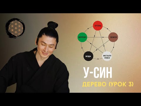 Видео: У-СИН. Элемент Дерево (Часть 3)