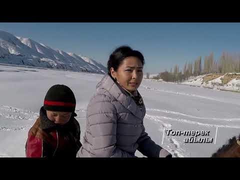 Видео: Биздин айыл  ТОП-ТЕРЕК  айылы