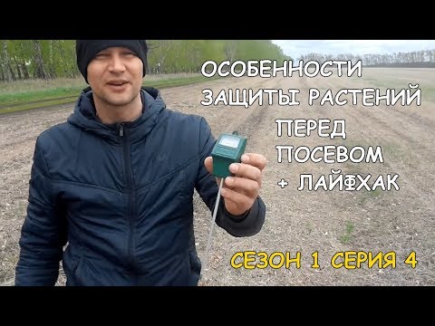 Видео: Правила защиты растений перед посевом (+ лайфхак)