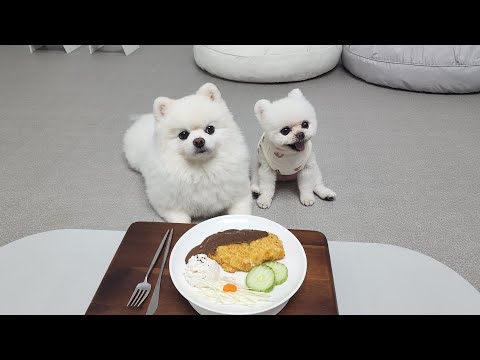 Видео: Я сделала отбивные для собак!
