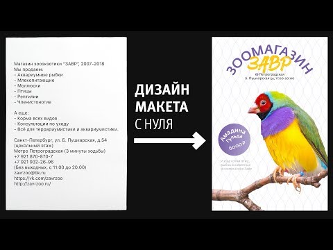 Видео: Дизайн макета с нуля. Графический дизайн