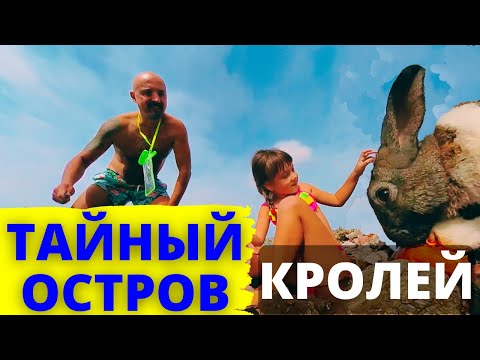 Видео: ПЕРЕХОД НА ЯХТЕ из Турции в Грецию - СЕКРЕТНЫЙ ОСТРОВ тысячи кроликов и турецкие яхты на зимовке.