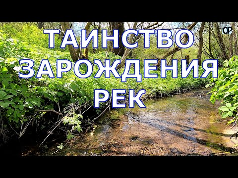 Видео: ТАИНСТВО ЗАРОЖДЕНИЯ РЕК Пять истоков: Свислочи, Ислочи, Птичи, Уши и Западной Березины