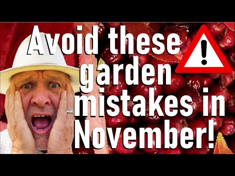 Видео: Избегайте этих ошибок в садоводстве в ноябре