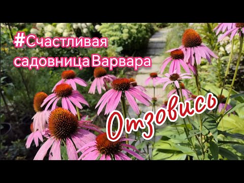 Видео: 🤥 #обман и #ложь во благо кого? #счастливаясадовницаВарвара #блогер #гортензии #цветы #сад #саженцы 