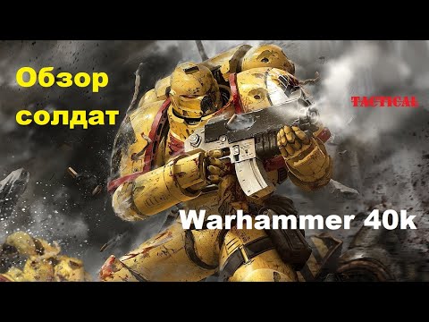 Видео: Обзор Солдат #warhammer 40k Space Marine 2 - подробный #гайд