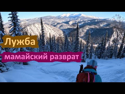 Видео: Лужба. Мамайский разврат. Шерегеш. Шахтерка. #фрирайд #скитур