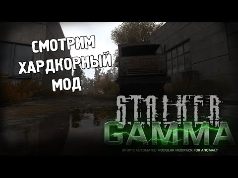 Видео: S.T.A.L.K.E.R. Anomaly GAMMA *ЧИСТО ЗАЦЕНИТЬ* (Стрим от 08.02.2023)