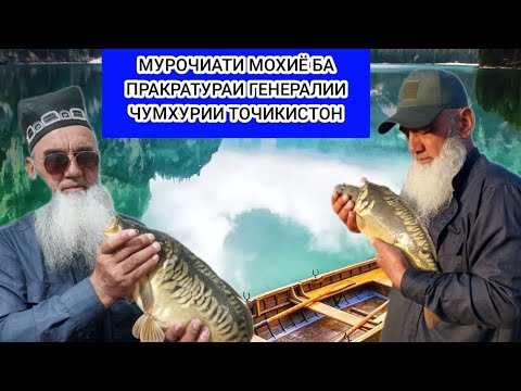 Видео: Муроҷиати Моҳиё ба ПРАКРАТУРА.