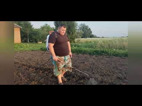 Видео: обрабатываем почву по картофелю гербецидом зенкор,аккумуляторным опрыскиватели ДНИПРО- М