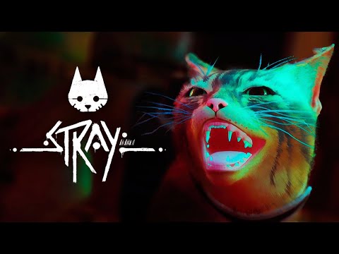Видео: ФИНАЛ КОТИКА ПРОБИВАЕТ ДО СЛЕЗ - БРЕЙН ИГРАЕТ В STRAY #6