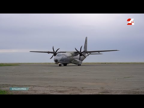 Видео: Возвращение диких лошадей на родину | Большая страна