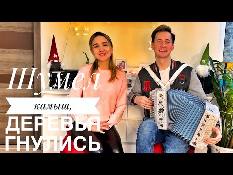 Видео: ШУМЕЛ КАМЫШ, ДЕРЕВЬЯ ГНУЛИСЬ || КРАСИВАЯ ПЕСНЯ ПОД ГАРМОНЬ || НОЧКА ТЕМНАЯ БЫЛА || ПРО ЛЮБОВЬ