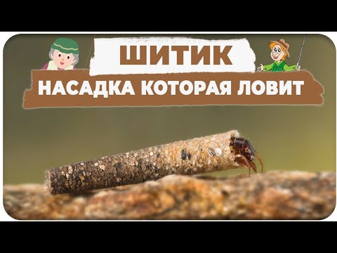 Видео: Шитик. Насадка, которая ловит. Ручейник. Лучшая весенняя наживка.