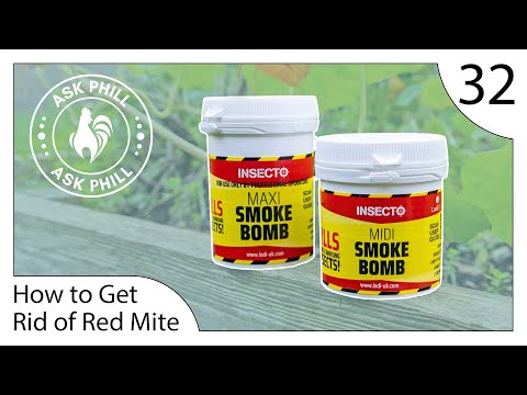 Видео: Полное руководство по уничтожению красного клеща в курятнике — Ask Phill 32