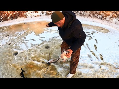 Видео: РАССТАВИЛИ СНАСТИ И СРАЗУ ЗАКЛЕВАЛО!!! КРУПНЫЕ ЯЗИ -ТОПЯТ ПОПЛАВКИ. Рыбалка на ХАПУГУ-ХЛОПОК