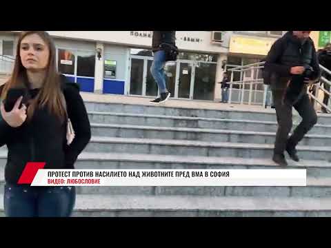 Видео: ПРОТЕСТ ПРОТИВ НАСИЛИЕТО НАД ЖИВОТНИТЕ ПРЕД ВМА В СОФИЯ