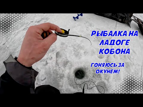 Видео: Зимняя рыбалка на Ладоге Кобона. Гоняюсь за окунём на мотопсе.