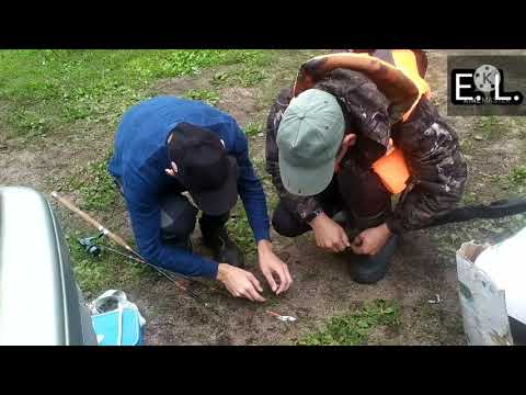 Видео: Рыбалка на Соколье