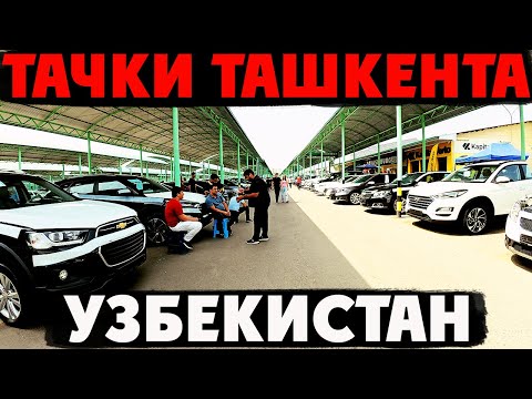 Видео: ТАШКЕНТ: Сколько стоят машины на рынке в 2025 году? Узбекский ПЛОВ!