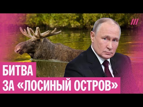 Видео: Столкновения с полицией и задержания. Как москвичи пытаются спасти «Лосиный остров»