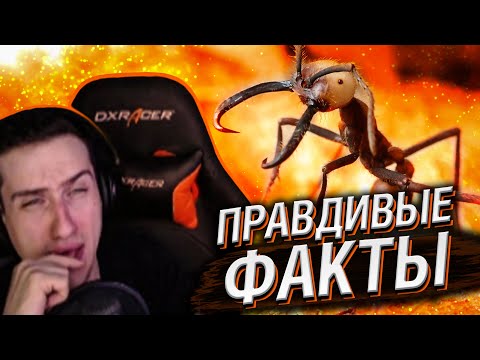 Видео: Hellyeahplay смотрит: Правдивые факты о кочевых муравьях