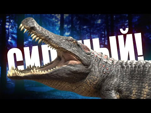 Видео: Сложно БЫТЬ Большим! Дейно Замучили МЕНЯ!! The isle - Evrima!(16+)🎈🤡