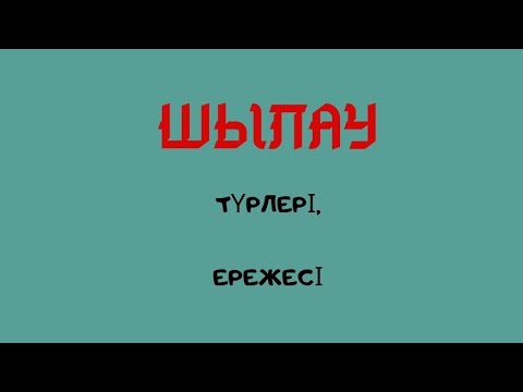 Видео: Шылау дегеніміз не?