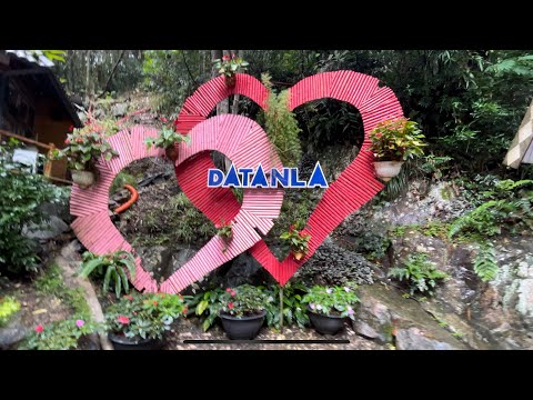 Видео: #10 Вьетнам 🇻🇳 Экскурсия в Далат. Водопад. Крейзи Хаус. Часть 2Сентябрь 2024