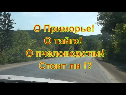 Видео: По дороге о Приморье, о тайге, о пчеловодстве, о пасеке!