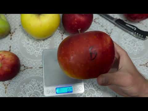 Видео: Ювілейне МІС, Дміана, Дарк рубін, Богемія, Богемія голд, Амулет