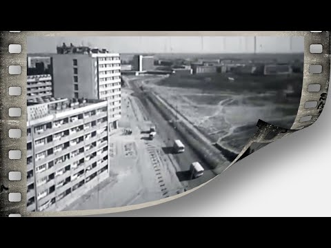 Видео: Узелки памяти