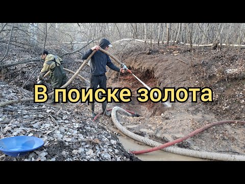 Видео: В поиске золота