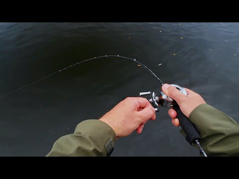 Видео: Бюджетное удилище Ultra BFS нового уровня! Обзор Mifine Microbite