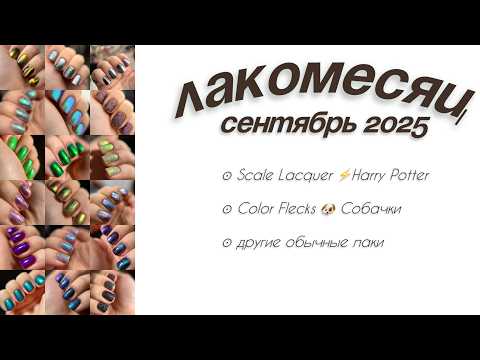 Видео: 💅🏻 МАНИКЮРЫ месяца 💅🏻 Сентябрь 2025. Обычные лаки. Лакомесяц
