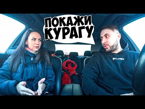Видео: ЖДАЛА РОМАНТИКА А ПРИЕХАЛ АЛЬФОНС / ЧСВ В ШОКЕ / Ars FloYd