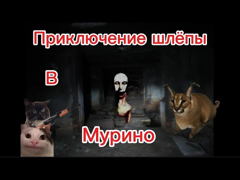 Видео: Приключение шлёпы в Мурино|фильм 