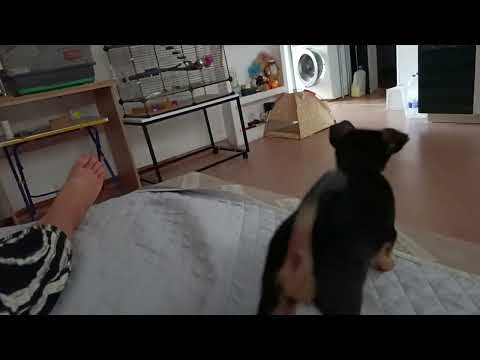 Видео: Боня в шоке от Джейсиного дружелюбия.  Ноябрь 2025.  03.11.2025