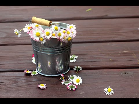 Видео: Зарисовка:май, огород, сажаем ёлки, дача и секондхэнд
