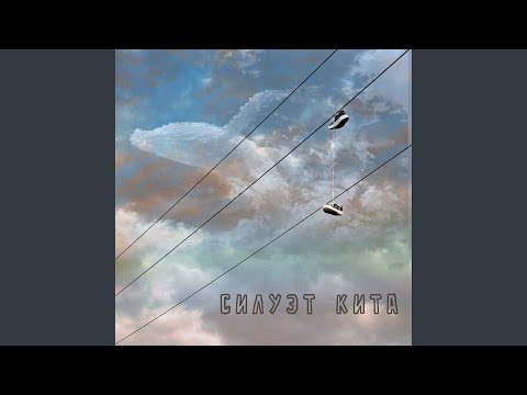 Видео: Силуэт кита (Акустика)