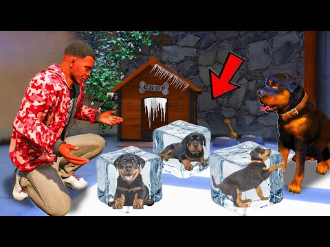 Видео: ЧОПТЫҢ КҮШІКТЕРІ МҰЗДА ҚАТЫП ҚАЛДЫ (GTA V)