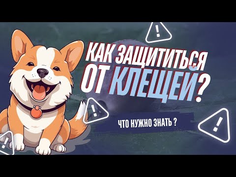 Видео: СОВЕТЫ ОТ КИНОЛОГА - КАК ЗАЩИТИТЬСЯ ОТ КЛЕЩЕЙ ?