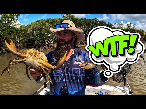 Видео: Использование грязевых крабов в качестве приманки