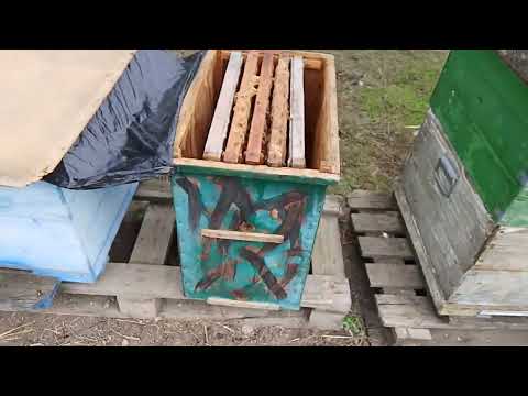 Видео: Эксперимент начался! 