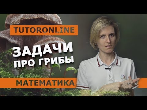 Видео: Математика | Задача про грибы