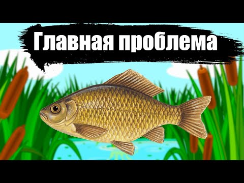 Видео: Самая главная ПРОБЛЕМА всех КАРАСЕВЫХ ВОДОЕМОВ