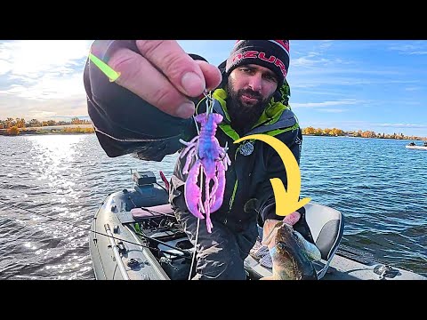 Видео: А тепер ка сюда, Рибалка на СУДАКА з Судаком