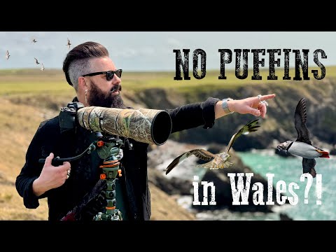 Видео: В Уэльсе нет тупиков?!