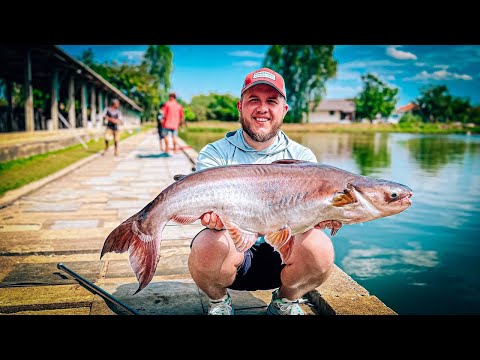 Видео: ТАКИХ МОНСТРОВ я ЕЩЕ НЕ ЛОВИЛ !!! / РЫБАЛКА в ТАЙЛАНДЕ